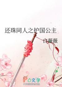 还珠同人之护国公主 还珠同人之护国公主